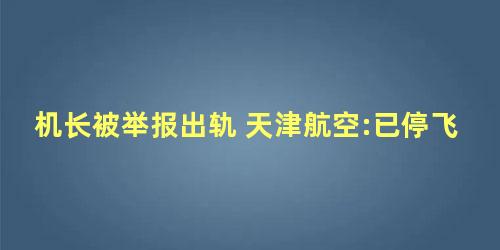 机长被举报出轨 天津航空:已停飞